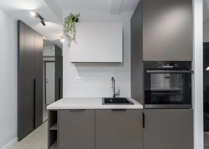 Old Town Jacuzzi 아파트 빌뉴스