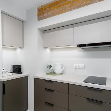 Old Town Jacuzzi 公寓 *